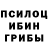 Галлюциногенные грибы прущие грибы Buck Savage
