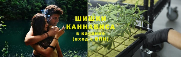 бошки Новосибирск
