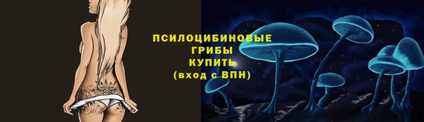 стаф Волоколамск
