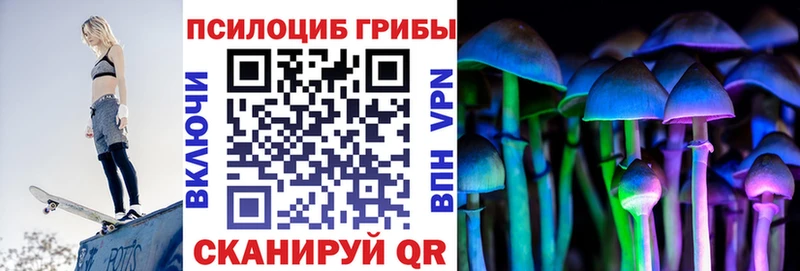 Псилоцибиновые грибы Psilocybine cubensis Озёрск